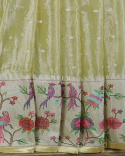 Green Kora Tissue Organza Embroidery Saree T5614244