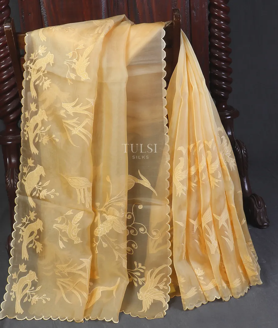 Yellow Kora Organza Embroidery Saree T564321-image