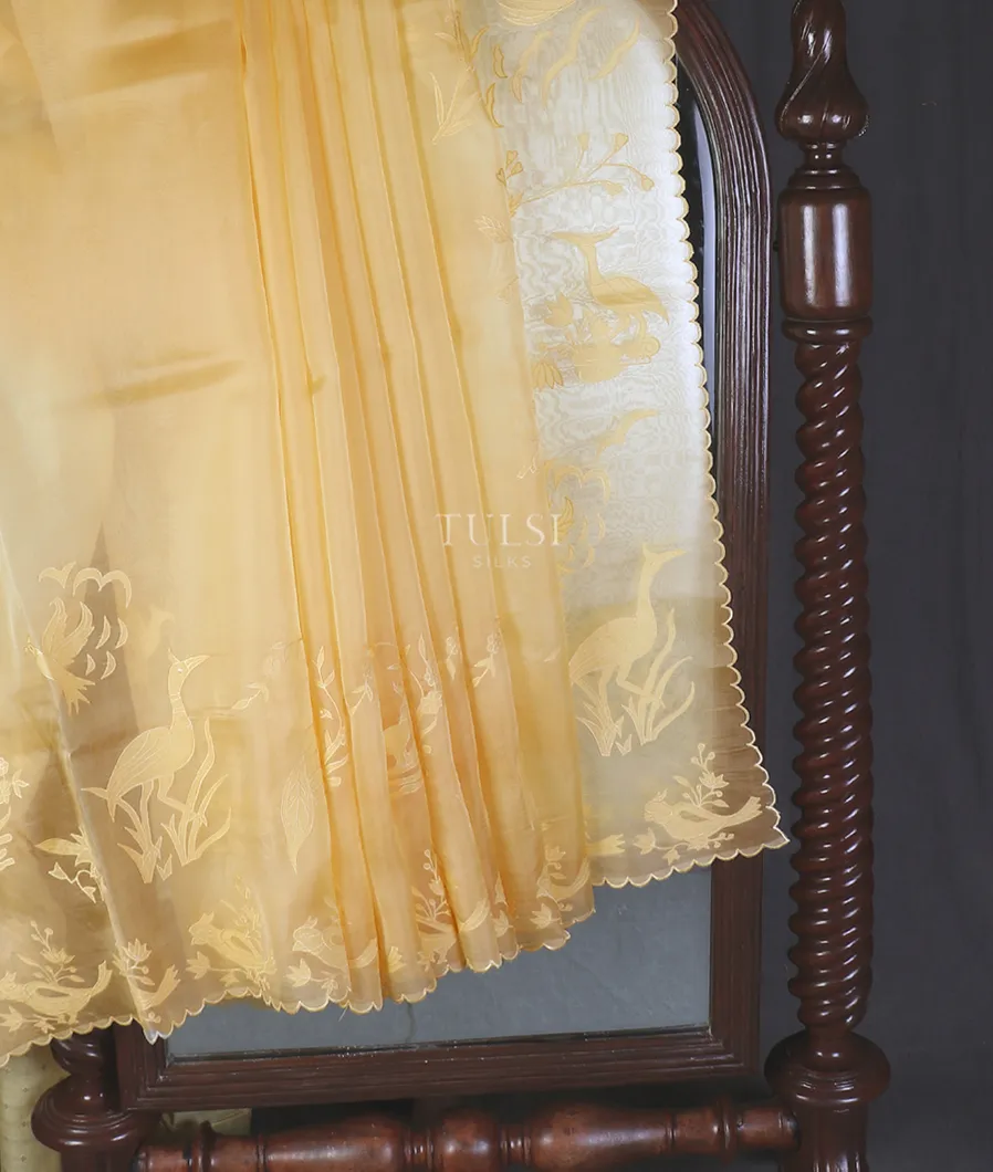 Yellow Kora Organza Embroidery Saree T5643212