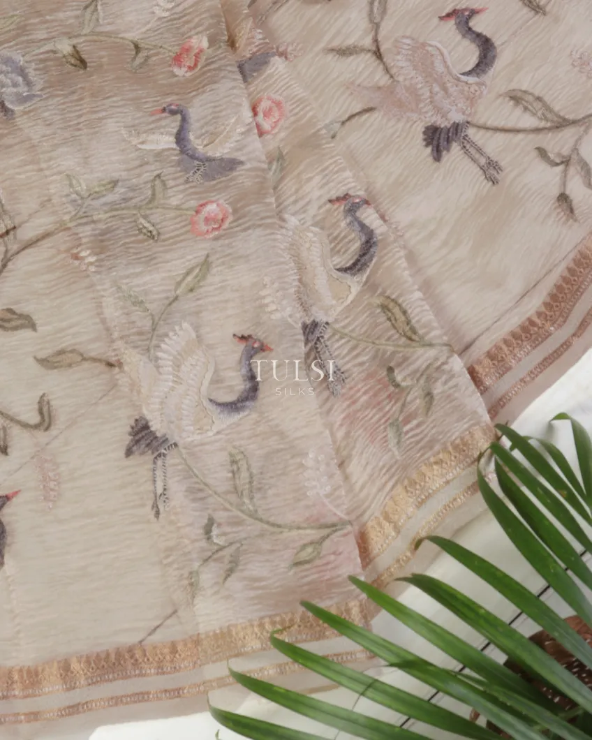 grey-kora-tissue-organza-embroidery-saree-t564458-t564458-b