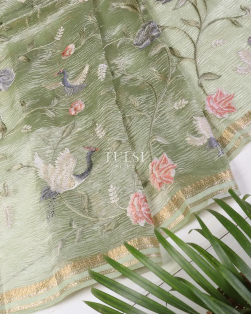 green-kora-tissue-organza-embroidery-saree-t564457-t564457-b