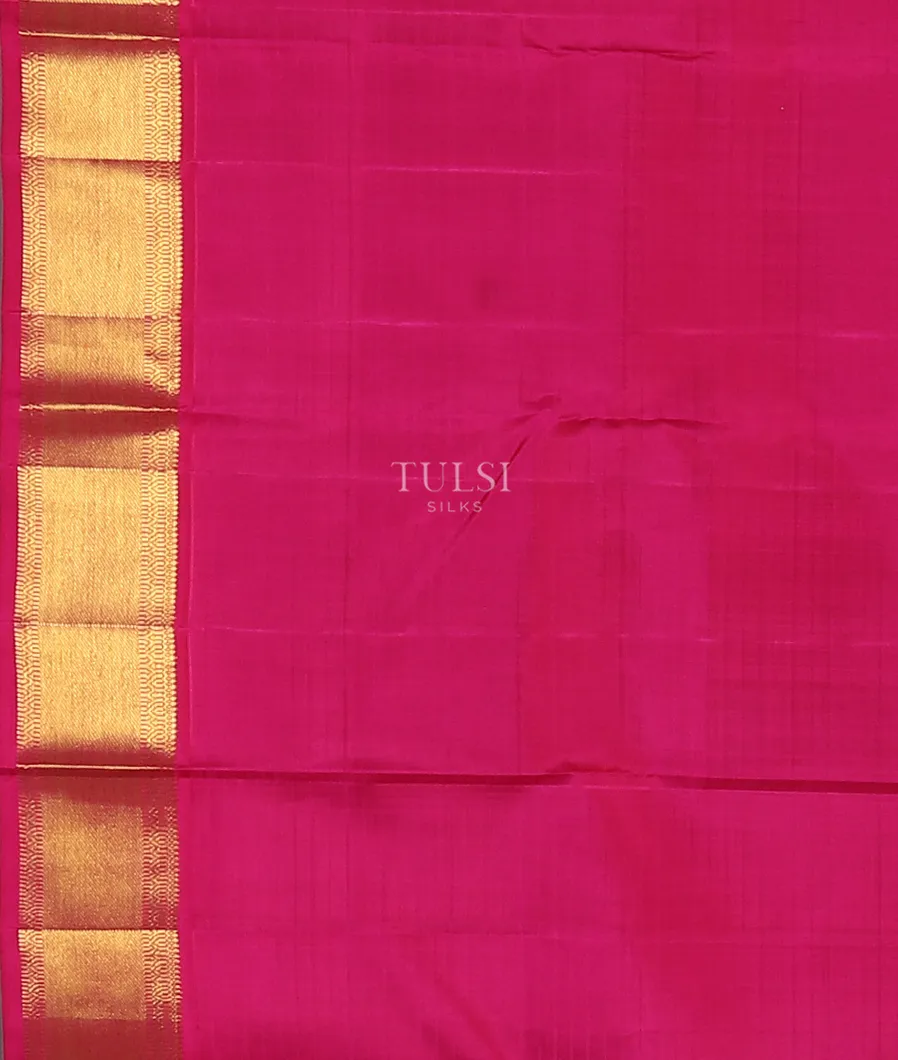 Light Green Kanjivaram Silk Saree T5624223