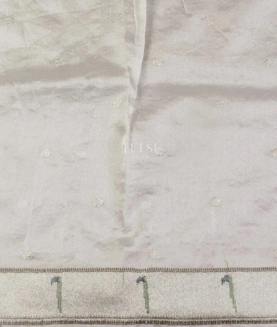 silver-kora-tissue-organza-embroidery-saree-t566653-t566653-c