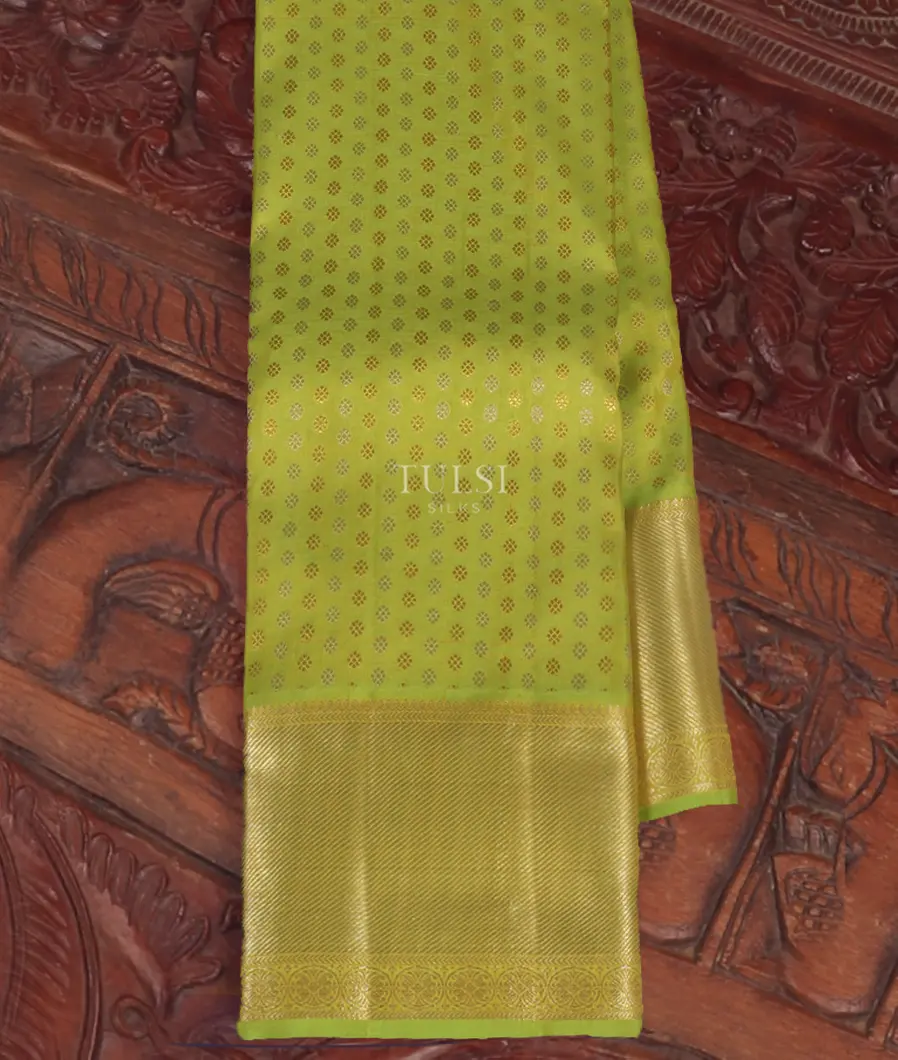 Green Kanjivaram Silk Saree T389761-image