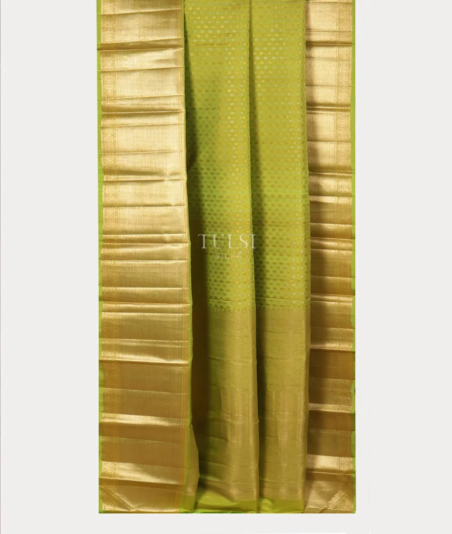 green-kanjivaram-silk-saree-t389761-t389761-b