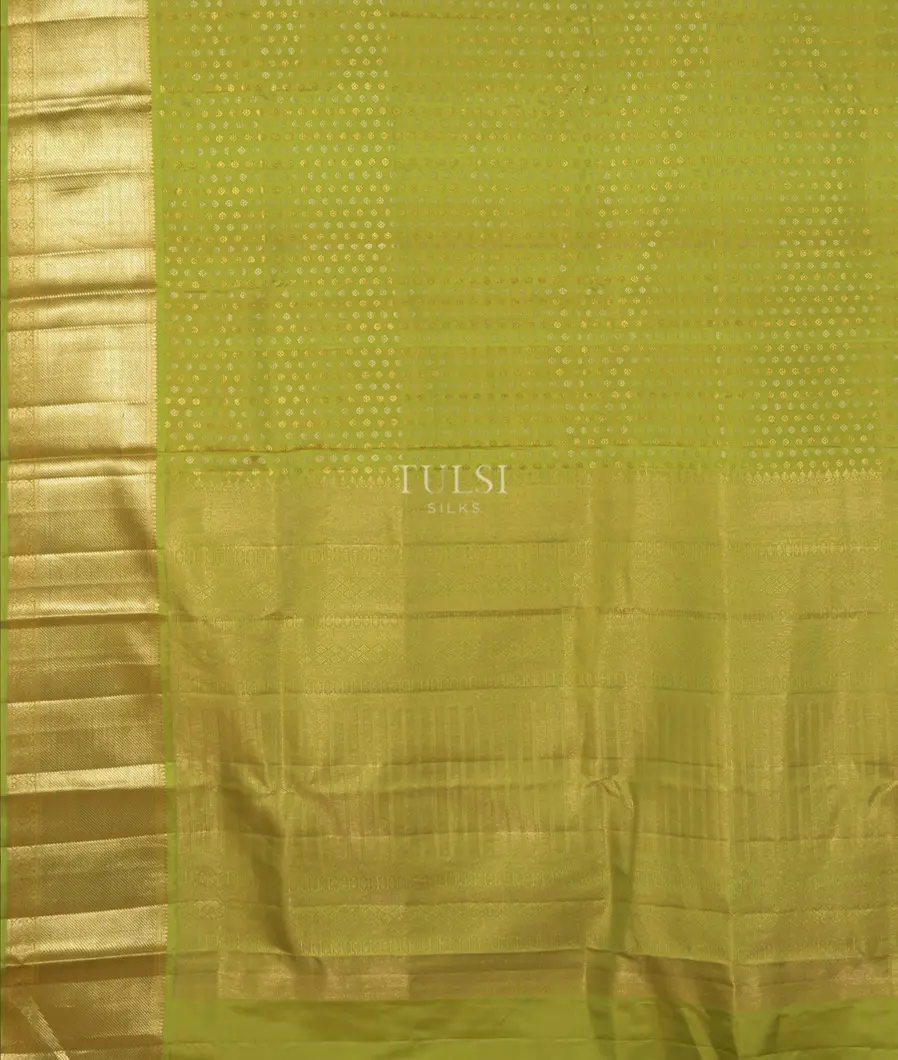 green-kanjivaram-silk-saree-t389761-t389761-d