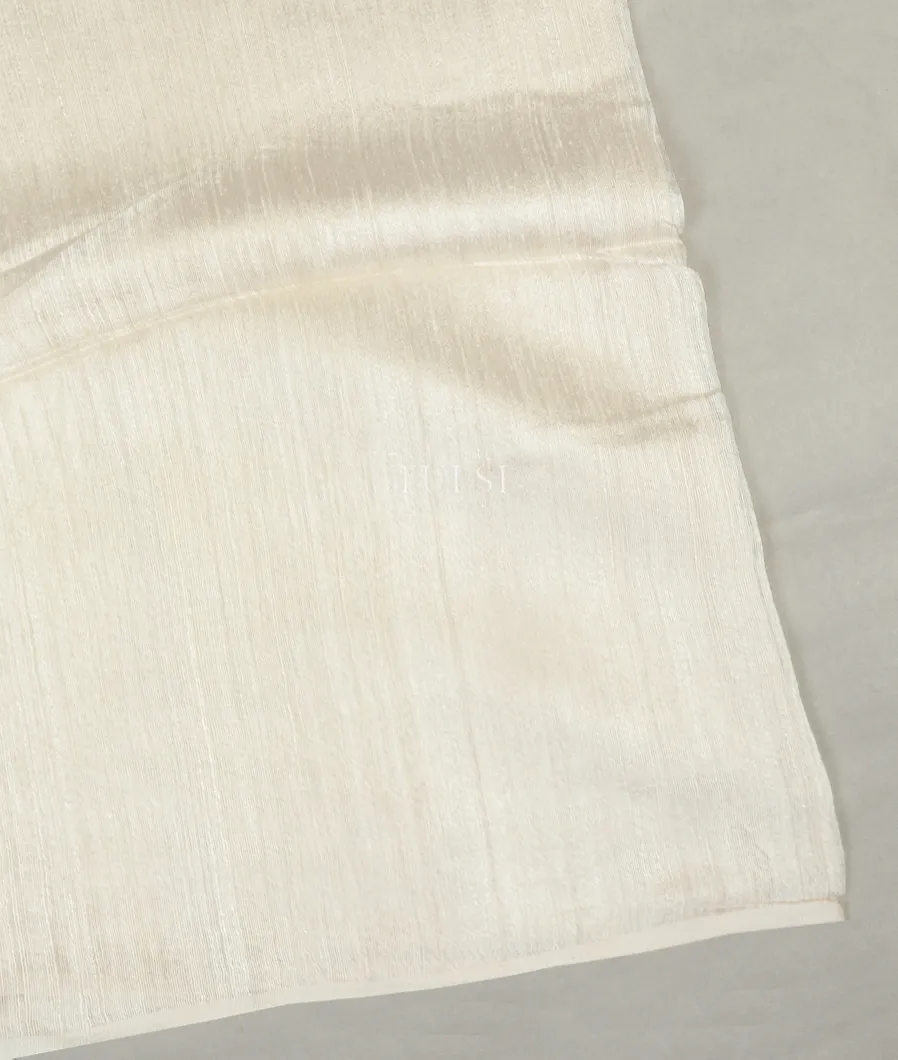 White Handwoven Tussar Saree T512520-image