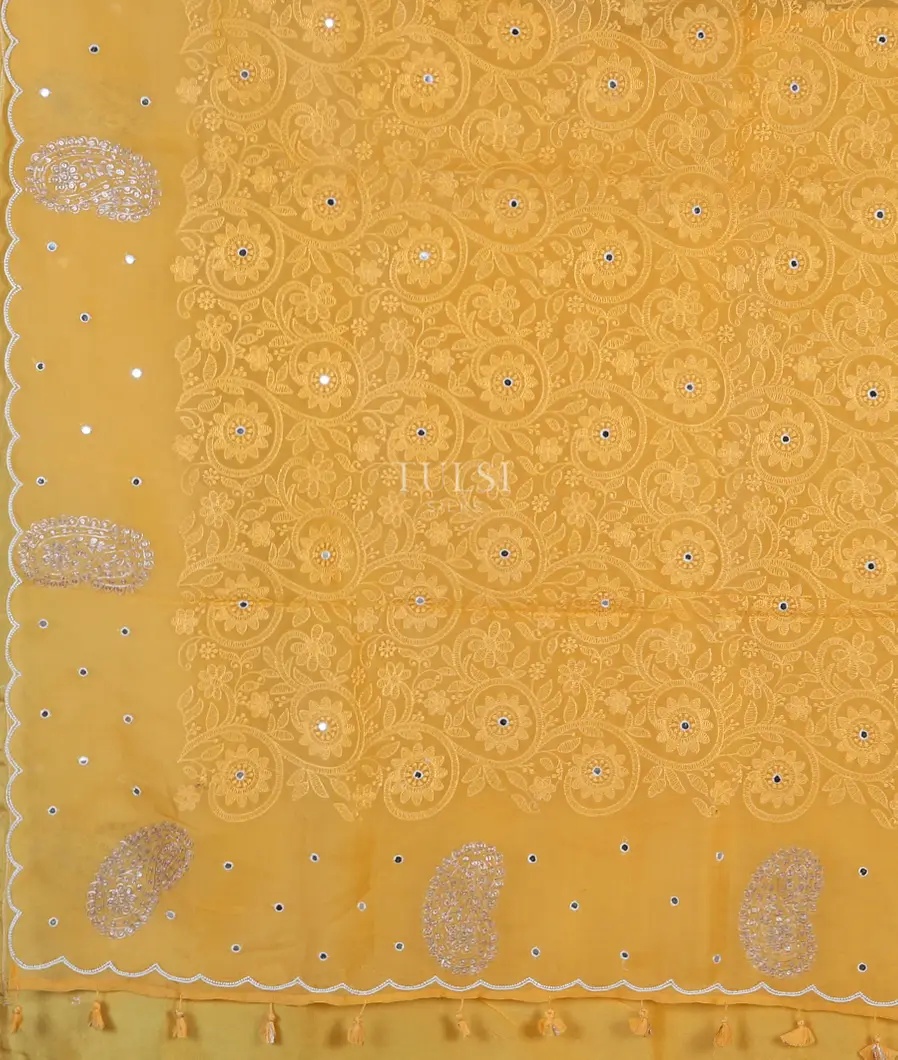 yellow-kora-organza-embroidery-saree-t564828-t564828-d