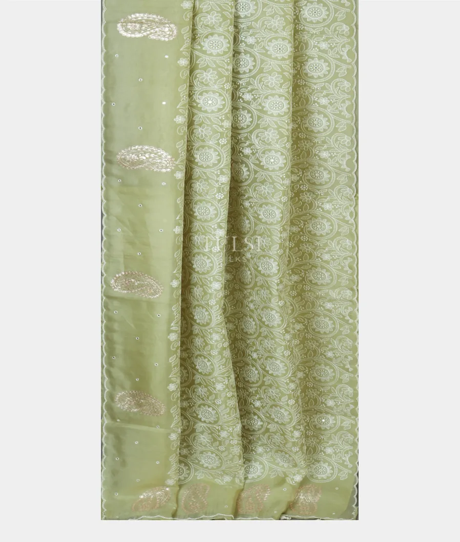 light-green-kora-organza-embroidery-saree-t564829-t564829-b