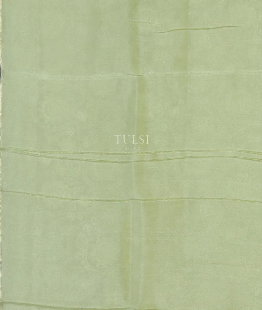 light-green-kora-organza-embroidery-saree-t564829-t564829-c