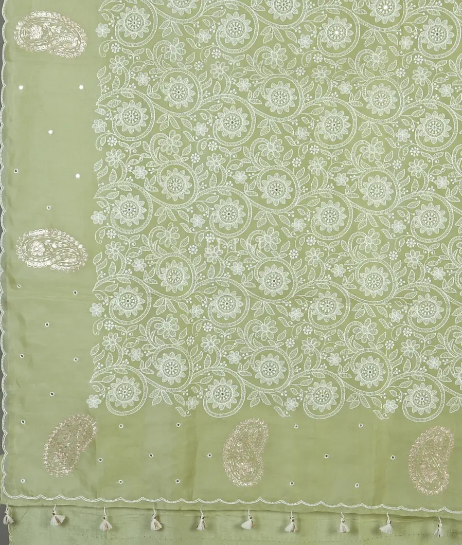 light-green-kora-organza-embroidery-saree-t564829-t564829-d