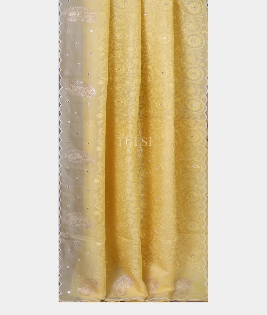 yellow-kora-organza-embroidery-saree-t564840-t564840-b