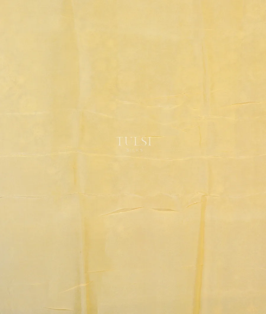 yellow-kora-organza-embroidery-saree-t564840-t564840-c