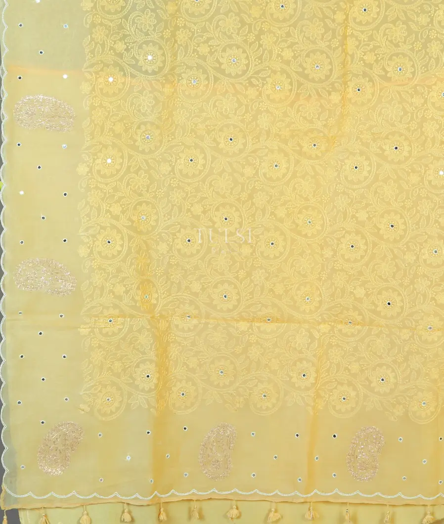 yellow-kora-organza-embroidery-saree-t564840-t564840-d