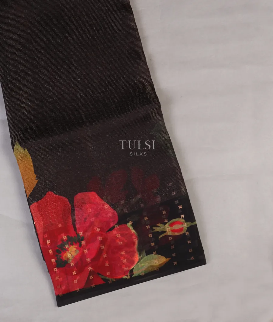 Black Tissue Organza Printed Saree T565197-image