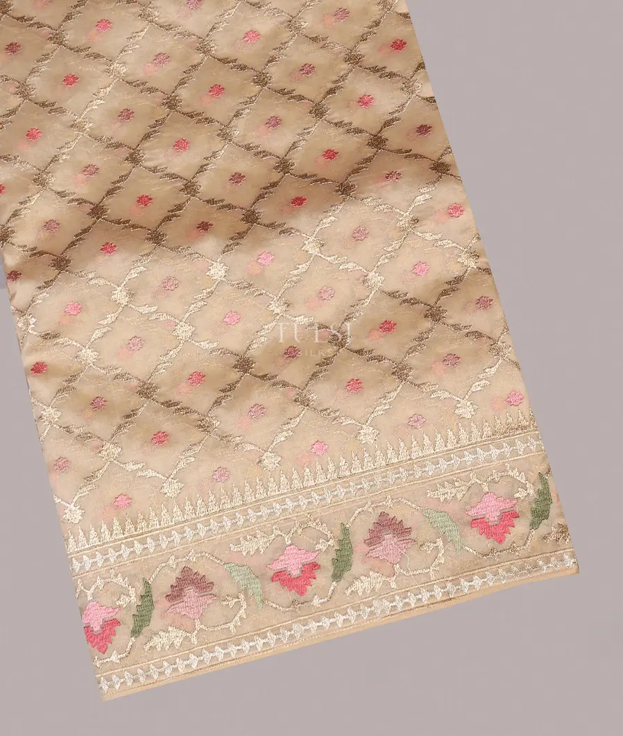 Light Beige Kora Organza Embroidery Saree T566324-image