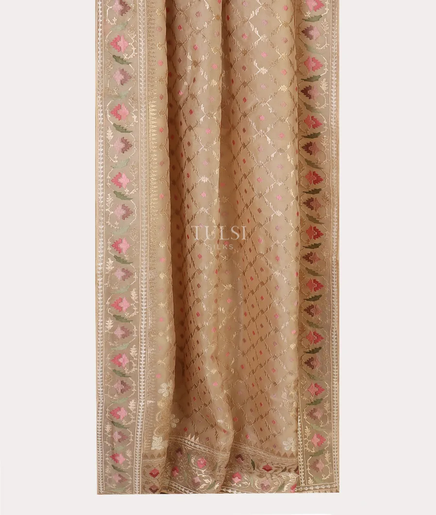 Light Beige Kora Organza Embroidery Saree T5663242