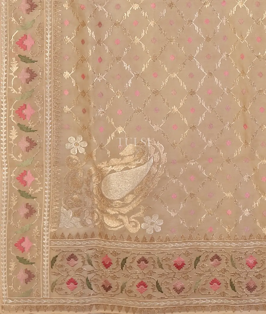 Light Beige Kora Organza Embroidery Saree T5663244