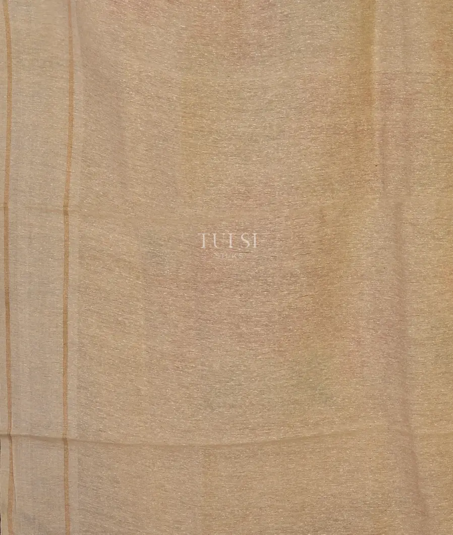 beige-tussar-printed-saree-t523713-t523713-c