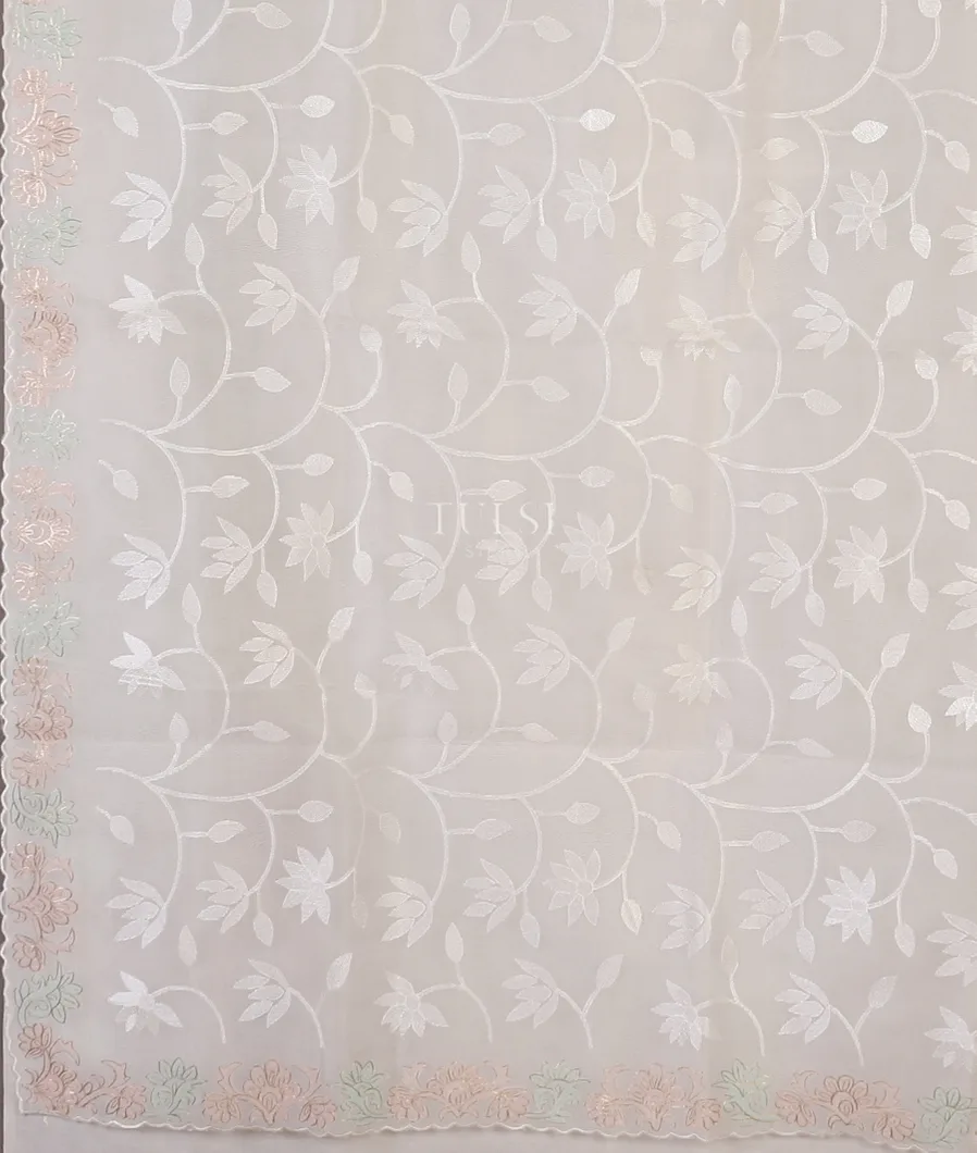 white-kora-organza-embroidery-saree-t465463-t465463-d