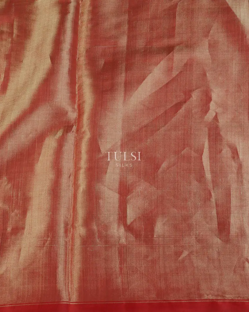 blue-tissue-patola-silk-saree-t566884-t566884-c