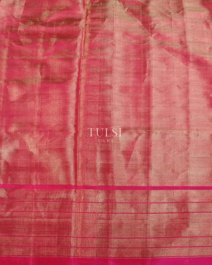 Grey Tissue Patola Silk Saree T5668863