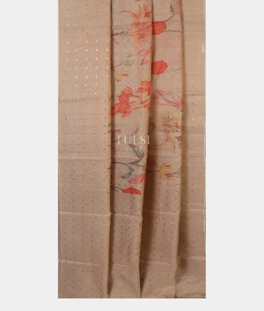 beige-tissue-tussar-printed-saree-t524893-t524893-b
