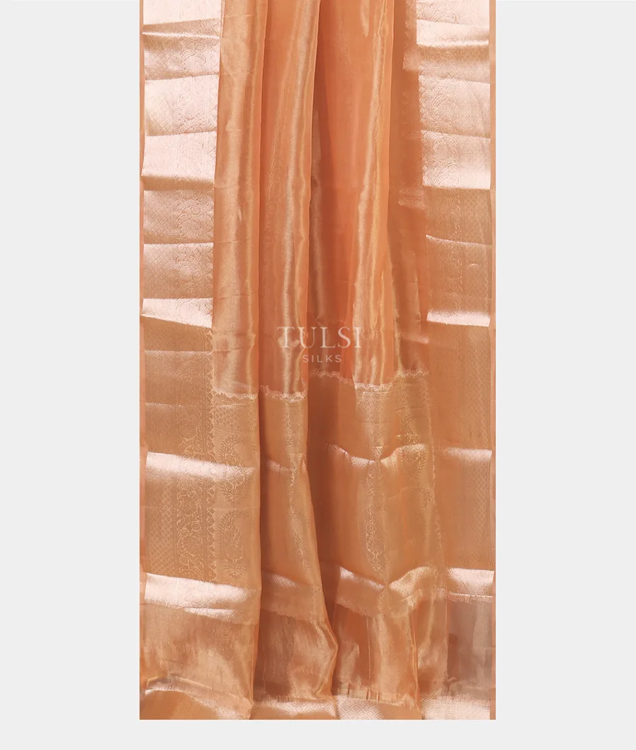 peach-woven-tissue-organza-saree-t564874-t564874-b