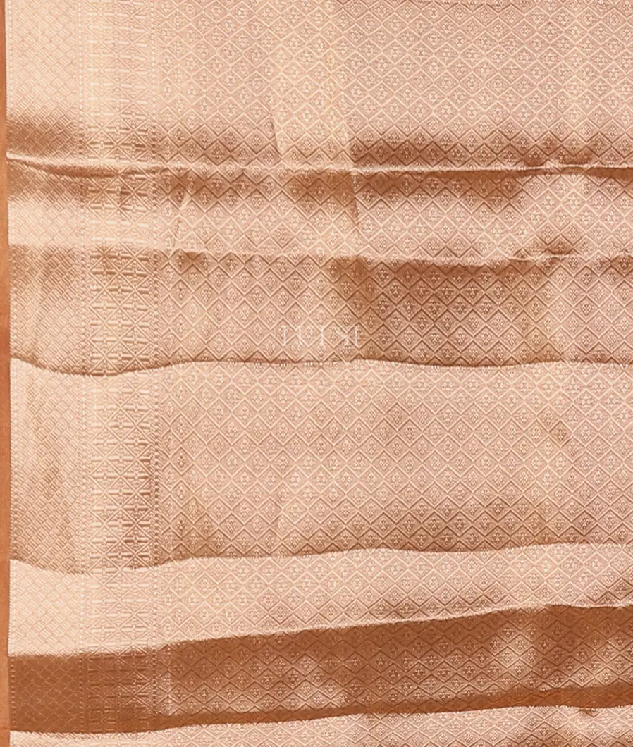 peach-woven-tissue-organza-saree-t564874-t564874-c