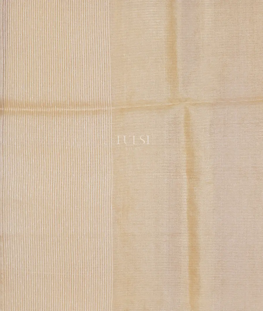 cream-tussar-embroidery-saree-t565431-t565431-c