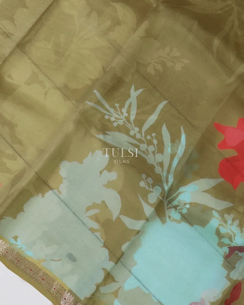 green-kora-organza-printed-saree-t565188-t565188-e
