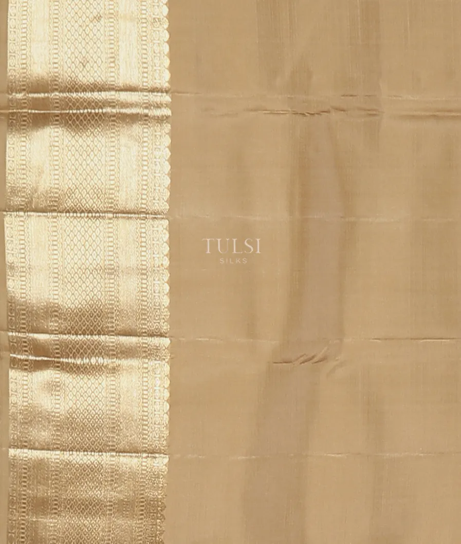 Beige-kanjivaram-silk-saree-t565559-t565559-c