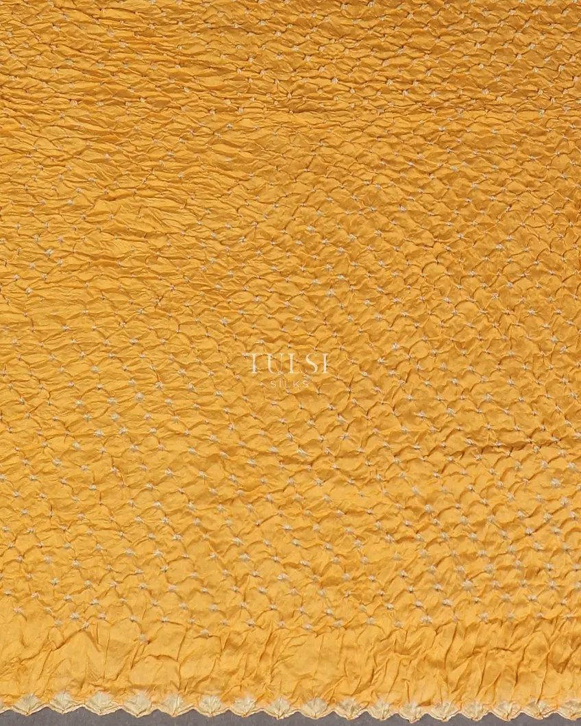 peacockblue-bandhani-gajji-silk-saree-t570139-t570139-c