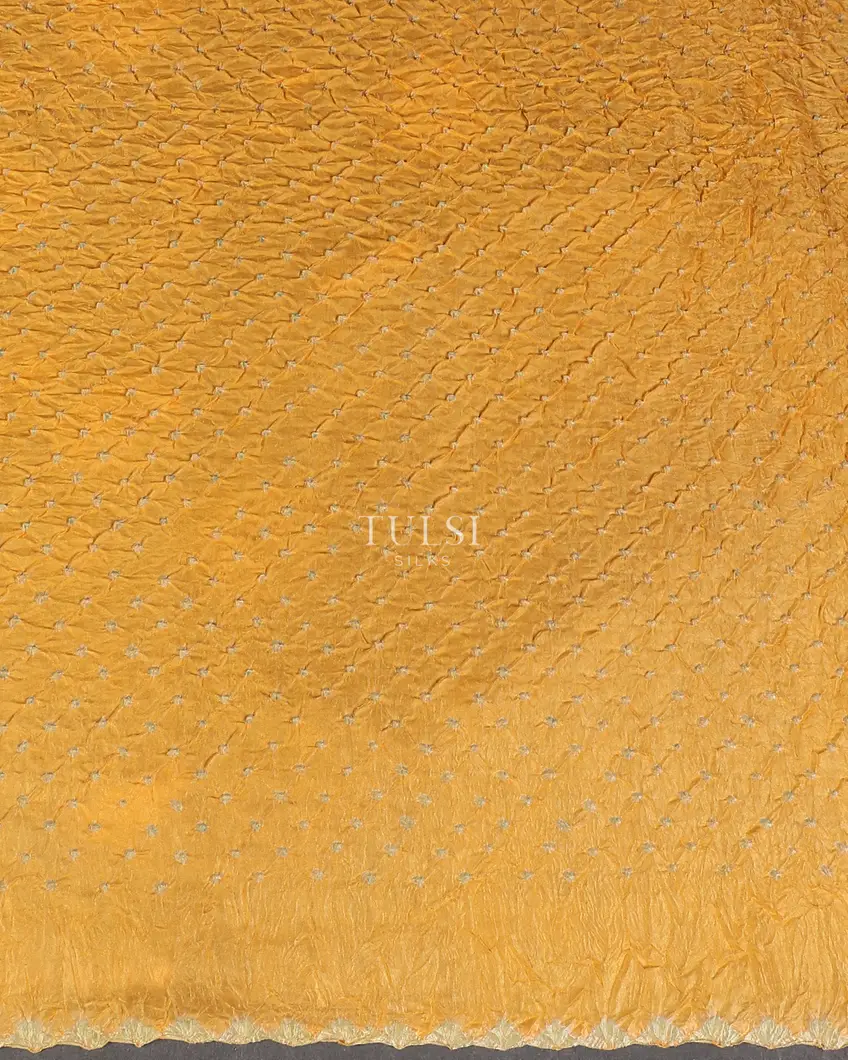 Maroon-bandhani-gajji-silk-saree-t570140-t570140-c