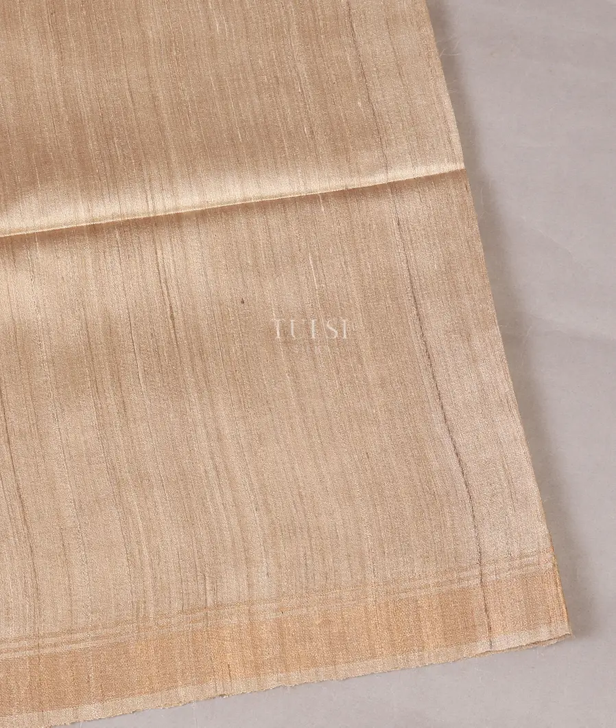Beige Tussar Printed Saree T569298-image