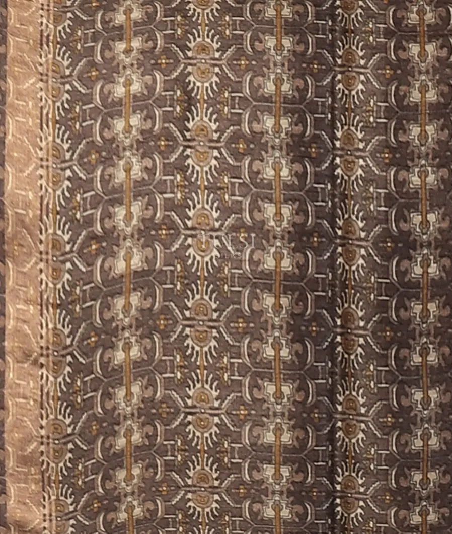 beige-tussar-printed-saree-t569298-t569298-c