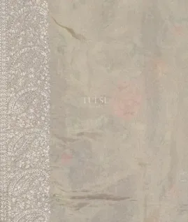 Grey Kora Tissue Organza Embroidery Saree T4912523
