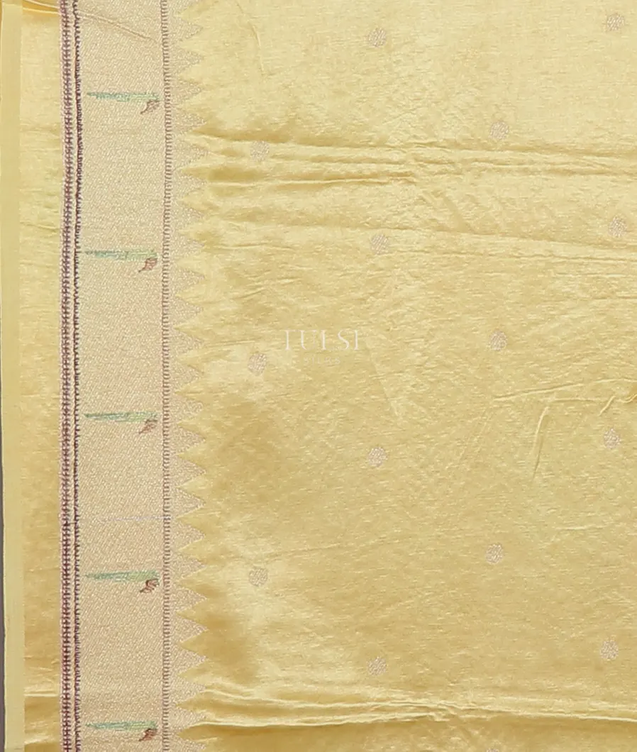 yellow-kora-organza-embroidery-saree-t552849-t552849-c