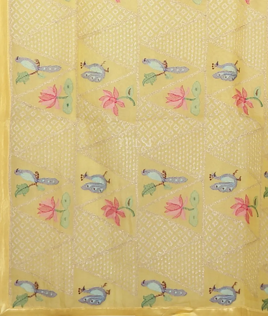 yellow-kora-organza-embroidery-saree-t552849-t552849-d