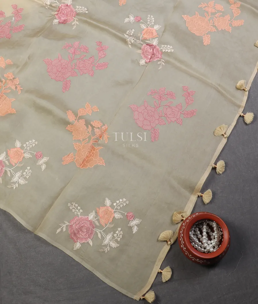 beige-kora-organza-embroidery-saree-t565854-t565854-d