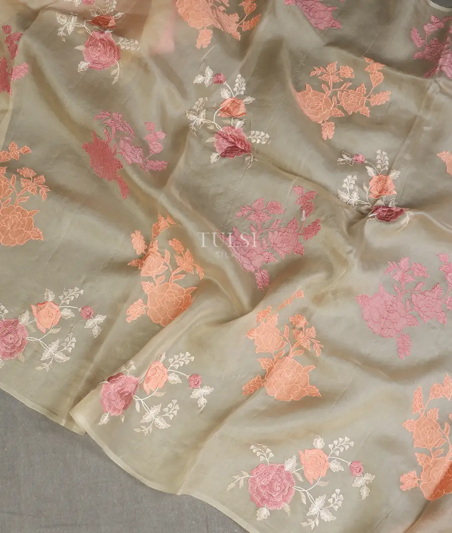beige-kora-organza-embroidery-saree-t565854-t565854-e