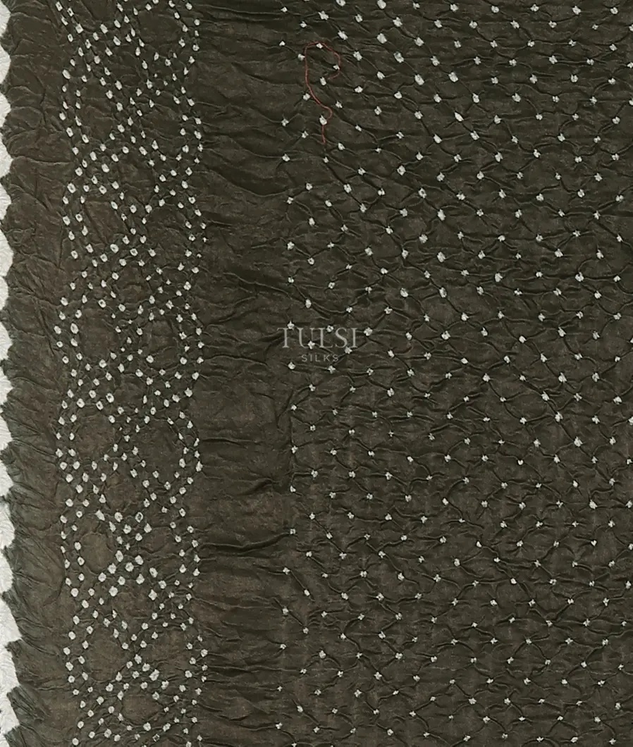 rust-bandhani-gajji-silk-saree-t531170-t531170-c