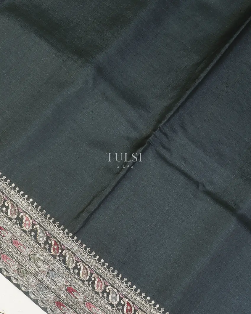 greenish-grey-tussar-embroidery-saree-t572053-t572053-e