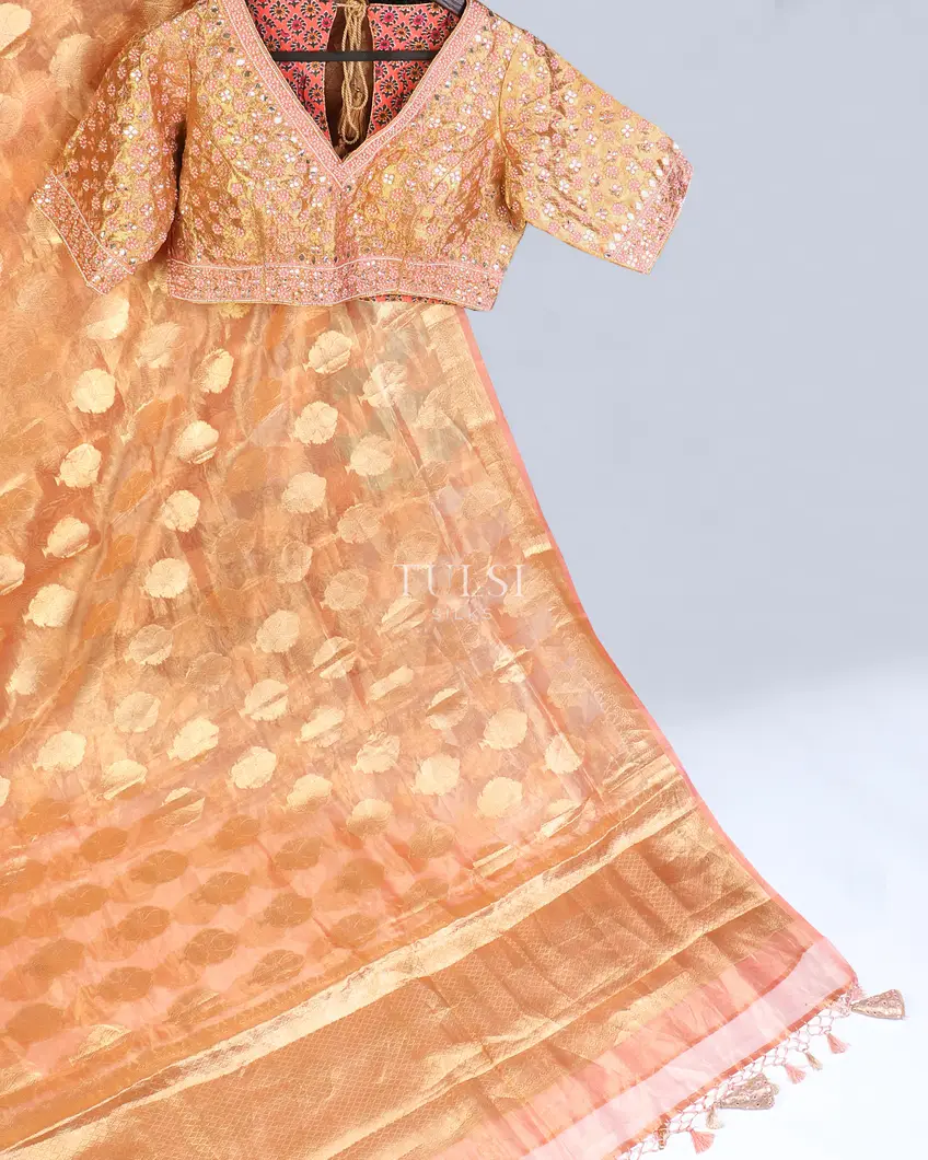 peach-kora-tissue-organza-embroidery-saree-t569351-t569351-b