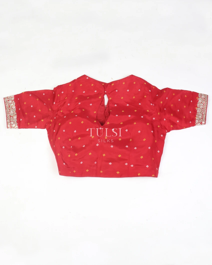 greenish-beige-kora-tissue-organza-embroidery-saree-t569387-t569387-d