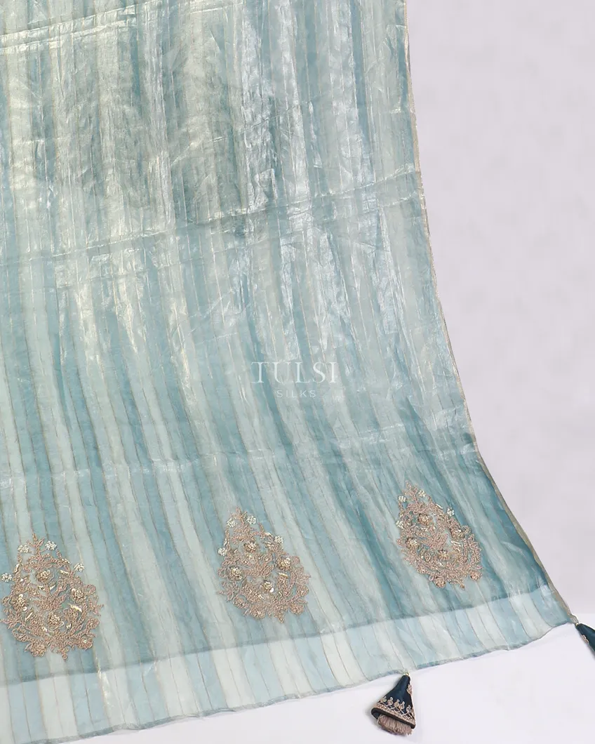 blue-kora-tissue-organza-embroidery-saree-t569395-t569395-e