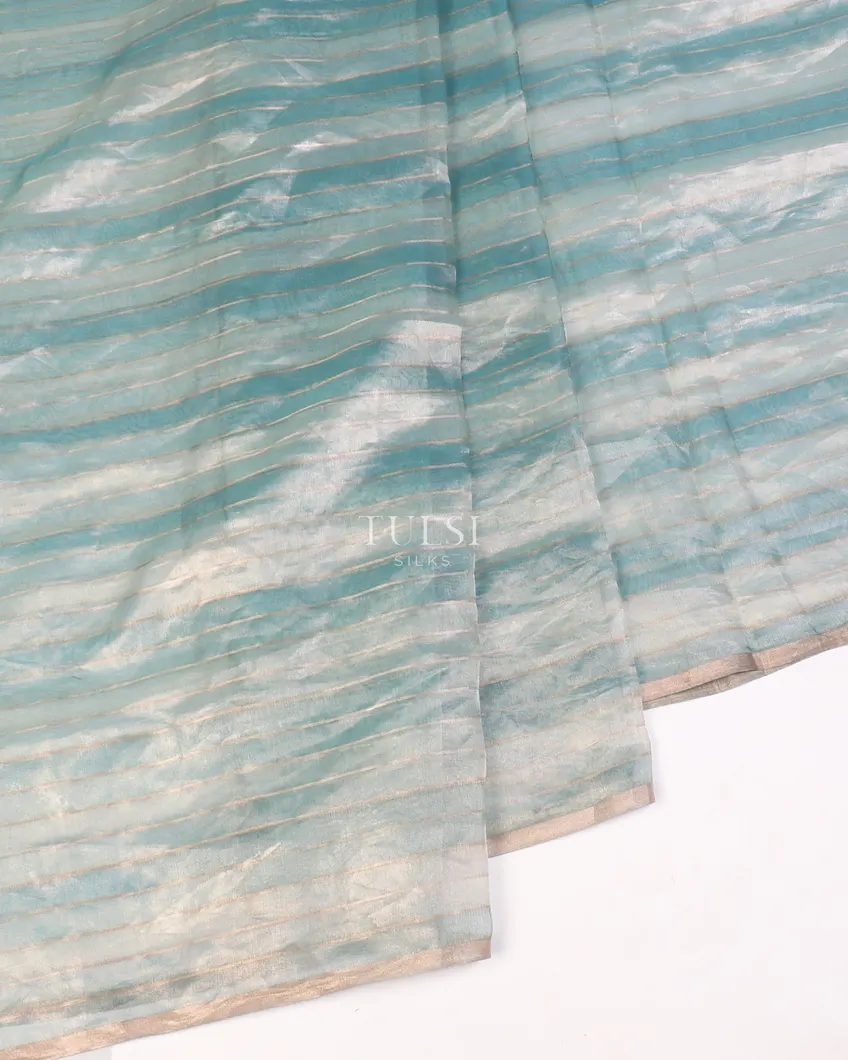 blue-kora-tissue-organza-embroidery-saree-t569395-t569395-f