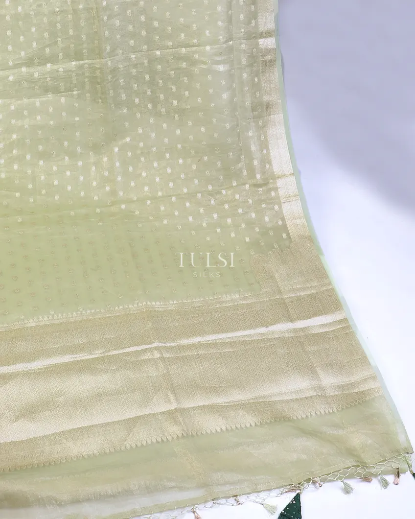 green-kora-tissue-organza-embroidery-saree-t569385-t569385-e