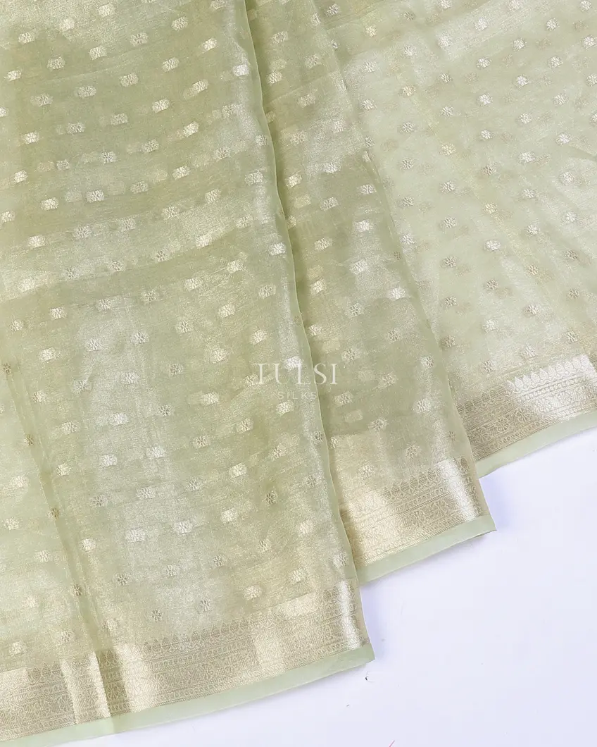 green-kora-tissue-organza-embroidery-saree-t569385-t569385-f