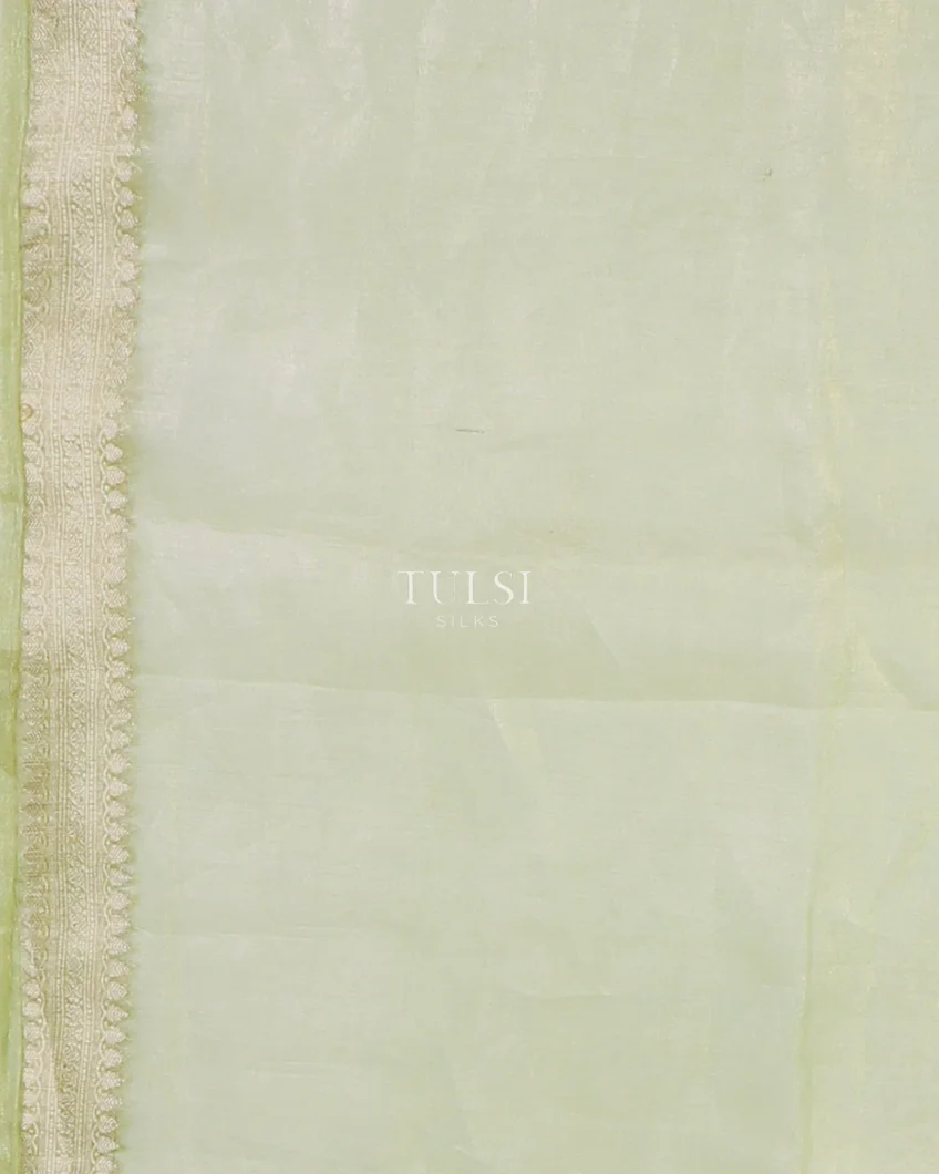 green-kora-tissue-organza-embroidery-saree-t569385-t569385-f